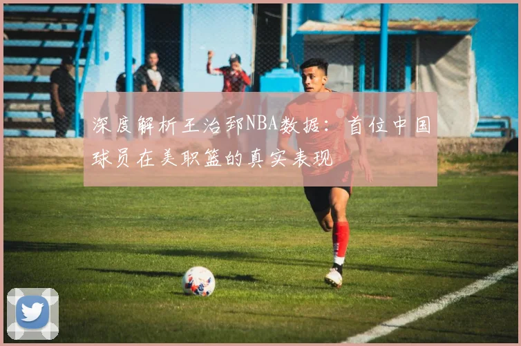 深度解析王治郅NBA数据：首位中国球员在美职篮的真实表现
