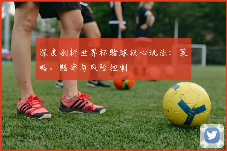 深度剖析世界杯赌球核心玩法：策略、赔率与风险控制