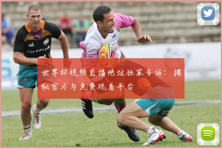 世界杯视频直播地址独家专访：揭秘官方与免费观看平台