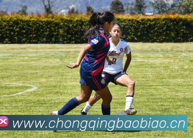 App Interface Preview